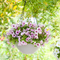 Indoor Plastic Hanging Basket