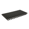 Plant Seedling Tray
