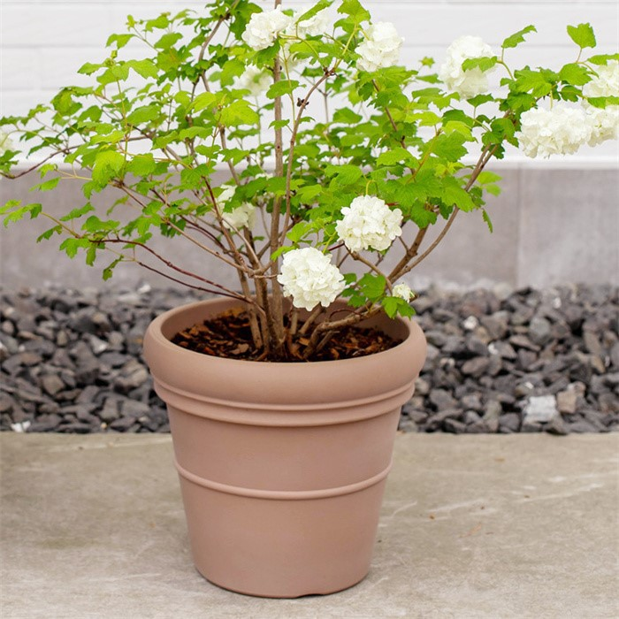 plant pots planter05