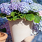 Wholesale Planter Plastic Flower Pot