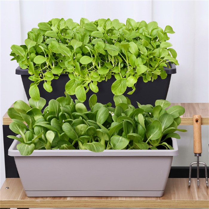 product-700-700