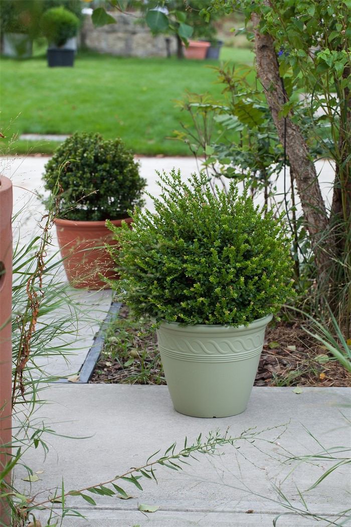 Big-sized flower pots with spiral design06