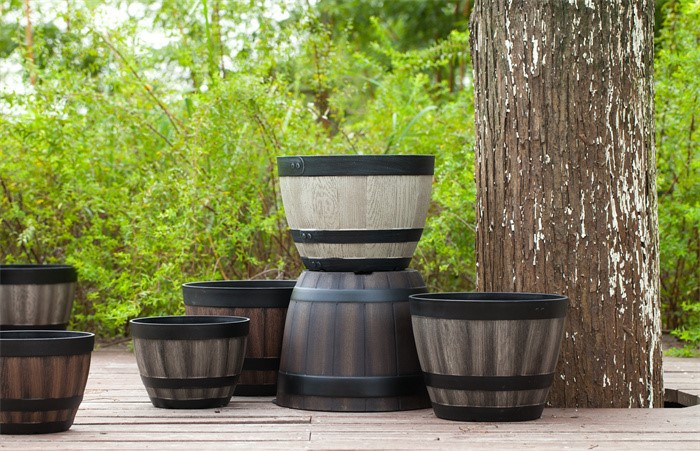 Large Tree Pots08
