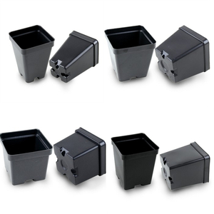 Vacuum Formed Square Pots