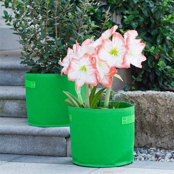 product-700-700