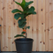 Pe Plastic Artificial Rattan Flower Pot