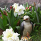 Plastic Bird Repellent Ornaments