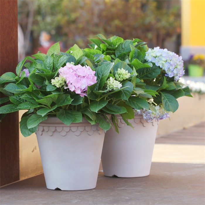 flower pots plastic08