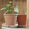 Colored Flower Pot With Logo