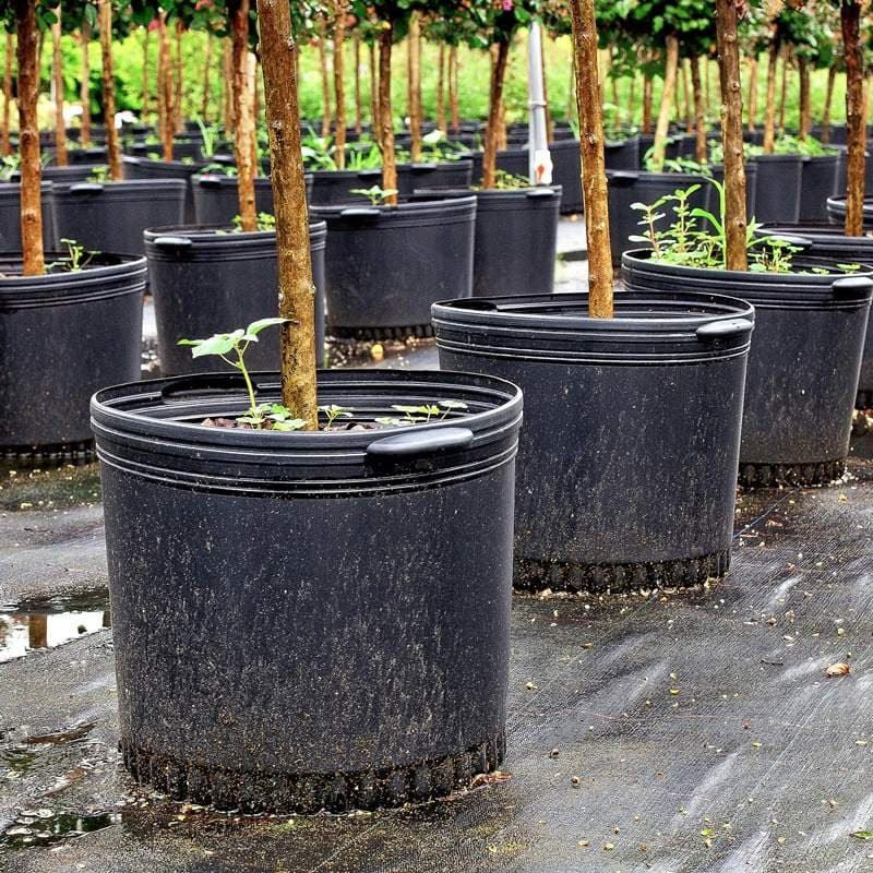 2 Gallon Plastic Pots Wholesale