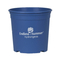 Hydrangea Nursery Pot
