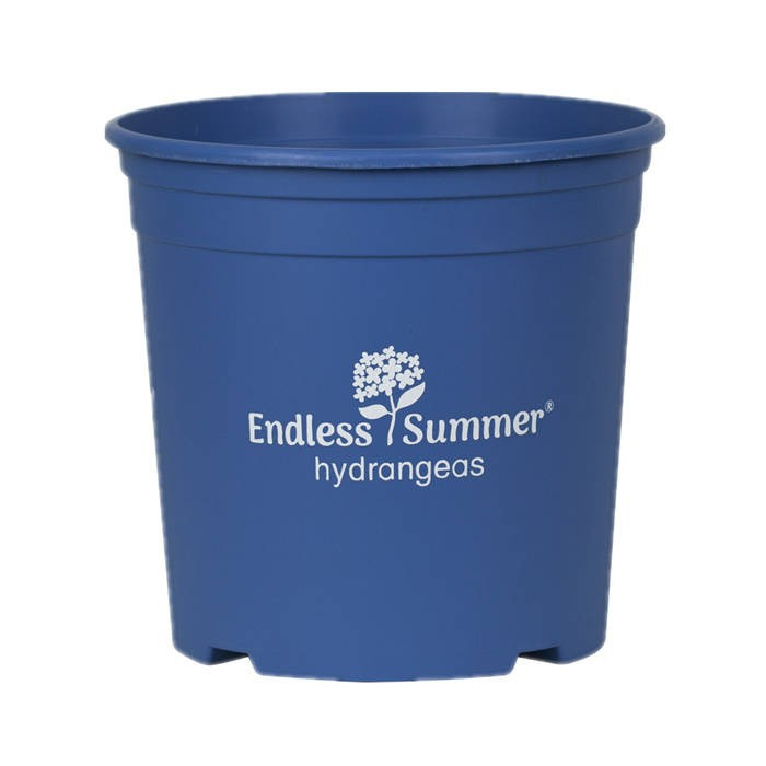 Hydrangea Nursery Pot
