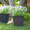 Wicker Flower Planter