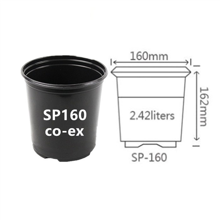 Blister Round Pot