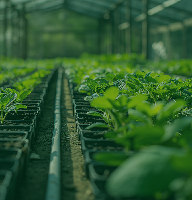 Greenhouse Growers
