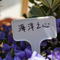 Plastic Gardening Label