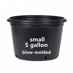 5 Gallon Pot