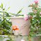 Flower Pot Plastic