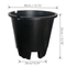 Nursery Planter For Blueberry