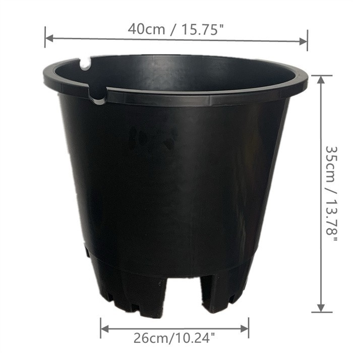 Nursery Planter For Blueberry