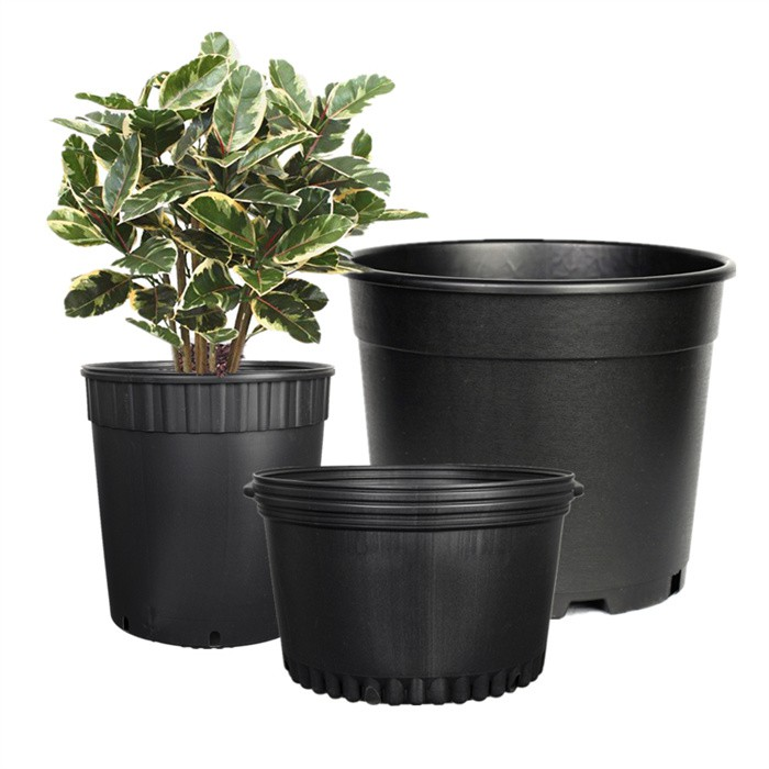big plastic pot08