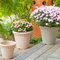 9" Plastic Planter