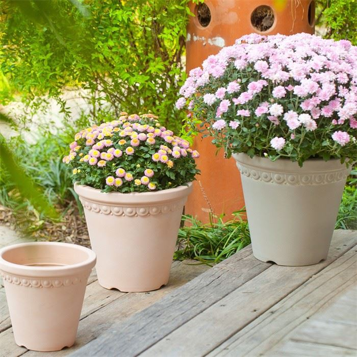 9" Plastic Planter