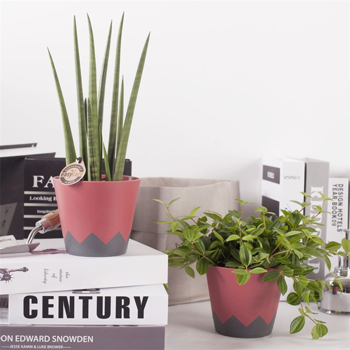 Compact Geometric Planter for Desk07