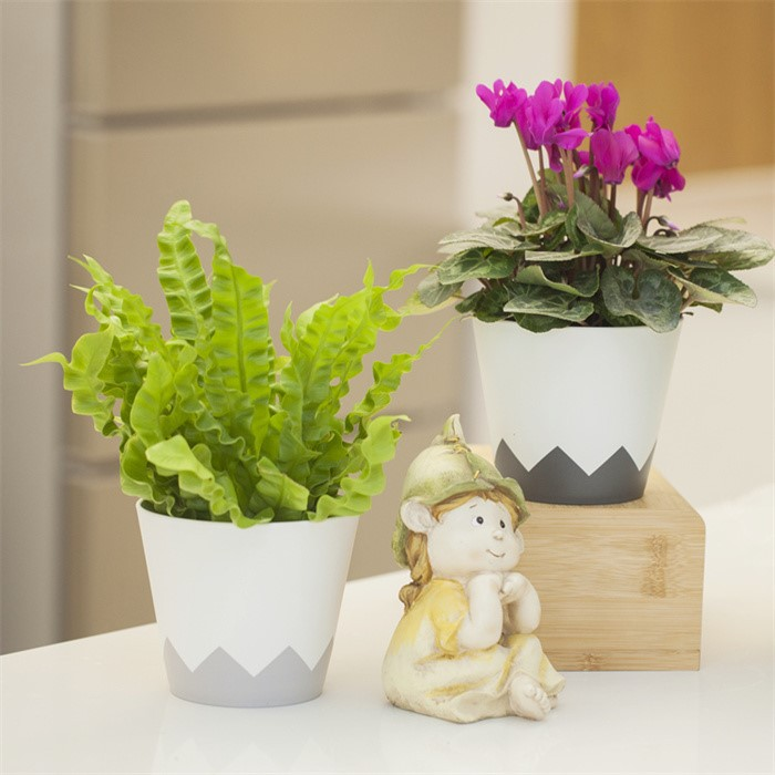 product-700-700