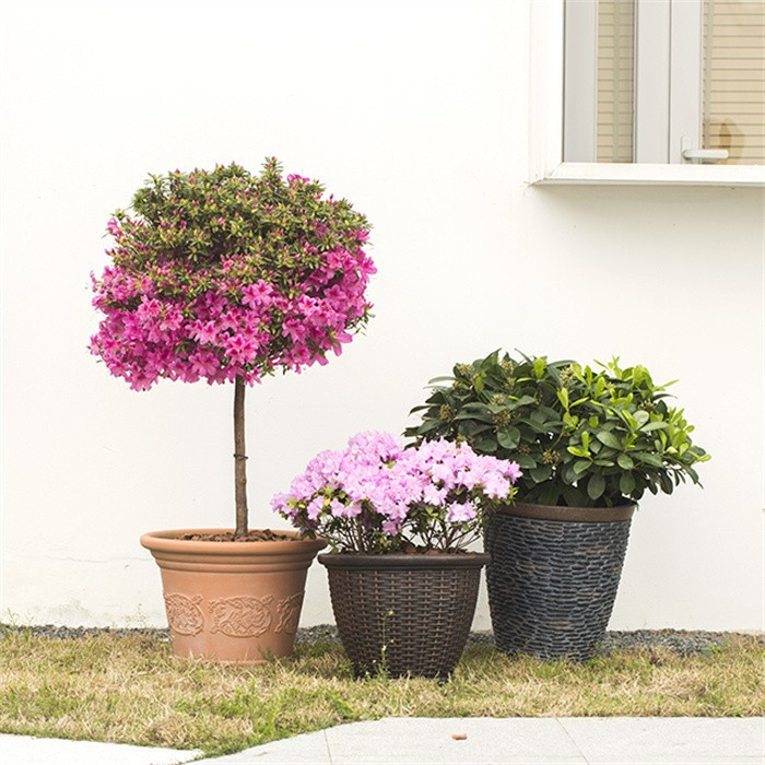 18" Carved Color Wash Planter