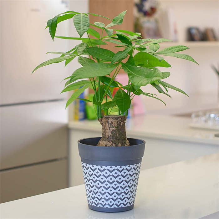 frosted pot indoor plant holder05