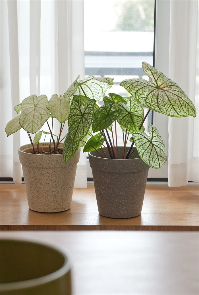 frosted pots indoor decor06