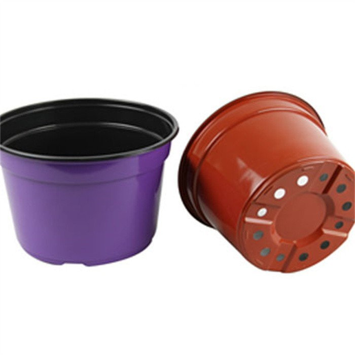 Pp Plastic Seedling Cups