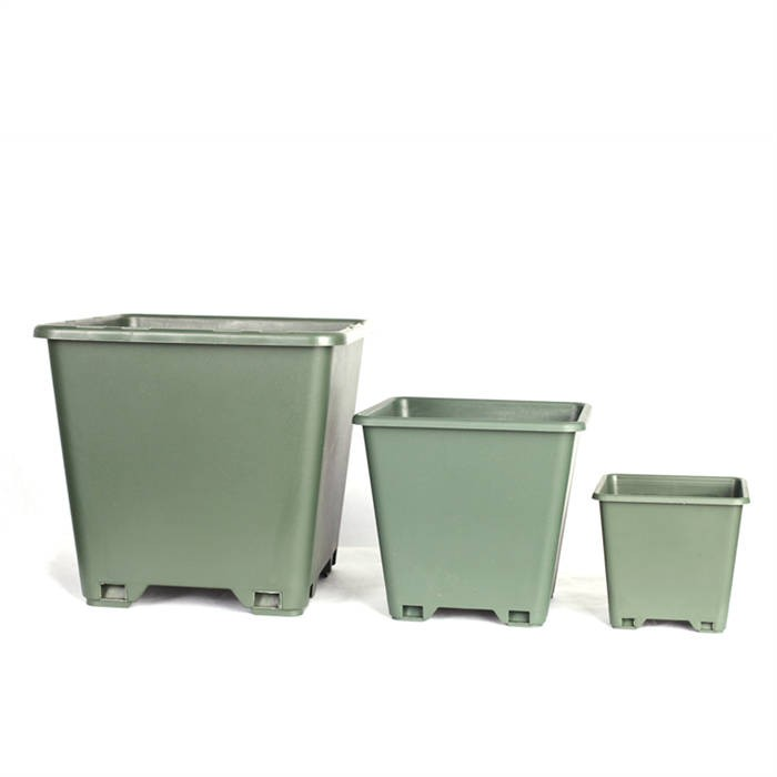 6 Square Blueberry Planter07