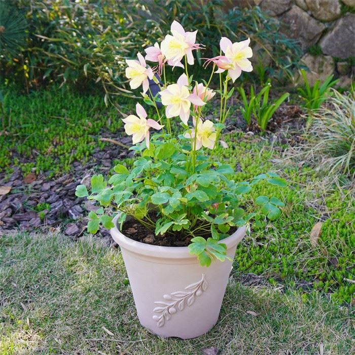 Flower Pots Virgin Plastic