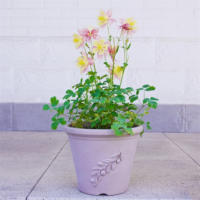 upside down plant pot08