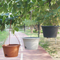 10" Huolun Hanging Planter