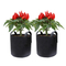 Plant Grow Bag
