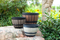 Vintage-Style Wine Barrel Flowerpot