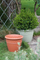Spiral Decorated Plant Pots