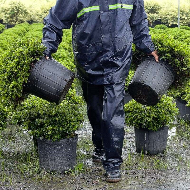 Large Capacity Pot