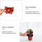 Square Thermoform Pot