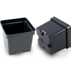 Square Seedling Pot
