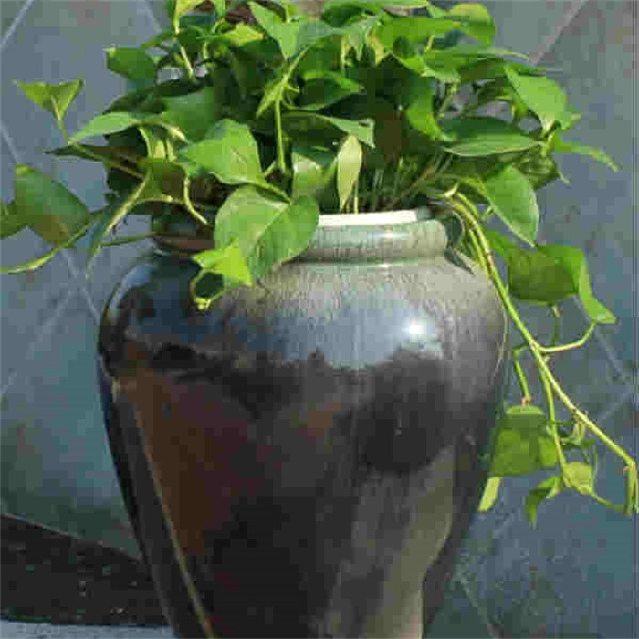fency flower pot08