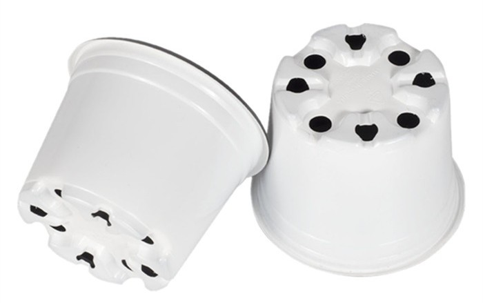 product-700-439