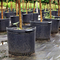 Reusable 1 Gallon Nursery Pots
