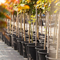 3 Gallon Plastic Plant Pot