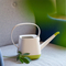 Decorative Plastic Watering Cans