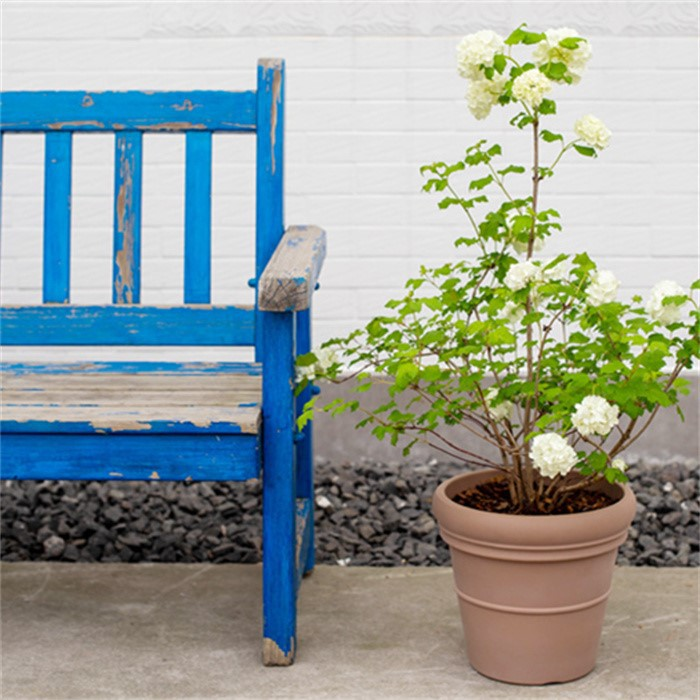 20 cm planter06