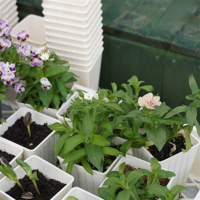 Square Nursery Pots Tray